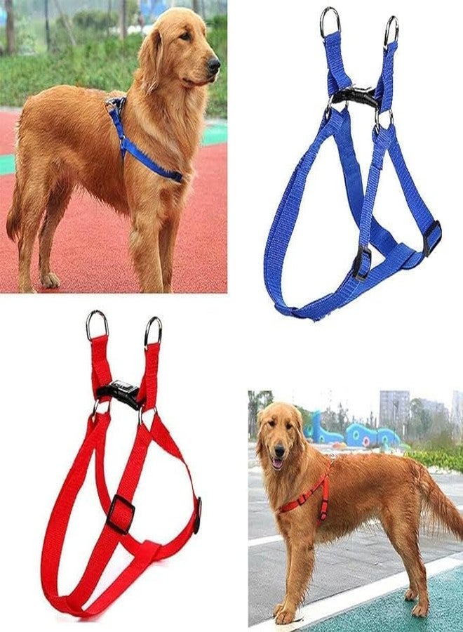 Pups&Pets طقم مقود نايلون قابل للتعديل من Pups&Pets مقاس 15 مم مع حزام، مناسب لتدريب/مشي الكلاب الصغيرة والجراء (أزرق) - Image 3